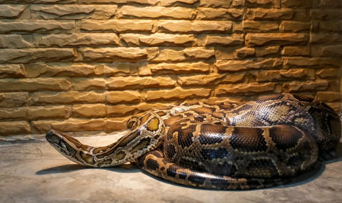 Bildschirmfoto 2025-03-01 um 14.24.15