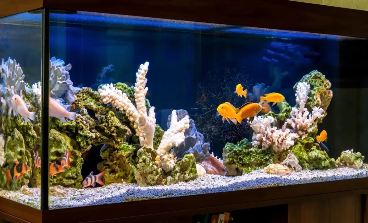 Bildschirmfoto 2025-03-02 um 17.10.41 abwechslungsreich